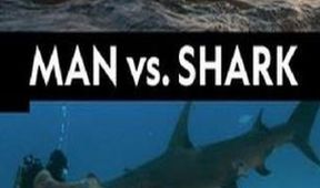 Člověk proti žralokům