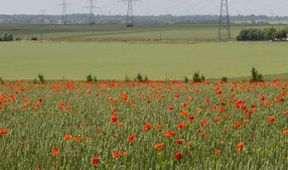 Přední linie (3/8)