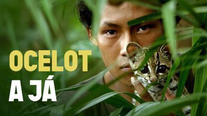 Ocelot a já