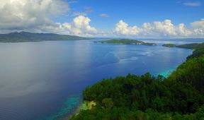 Strategie rozmnožování v přírodě (1/2)