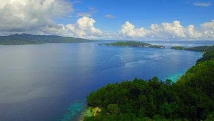 Strategie rozmnožování v přírodě (1/2)