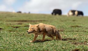 Asie, Zázračná planeta (2/7)