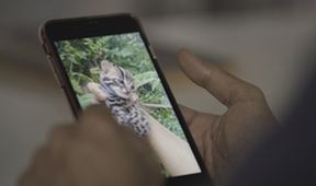 Příroda na kliknutí