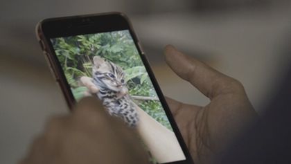 Příroda na kliknutí