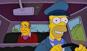 Simpsonovi XXII (15/22)