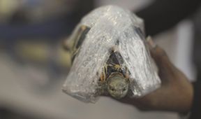 Příroda na kliknutí