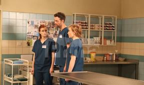 ZOO Nové začátky (190)