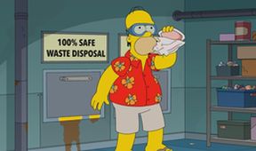 Simpsonovi XX (2/21)