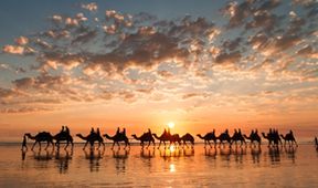 Cesty kolem světa (7/12)